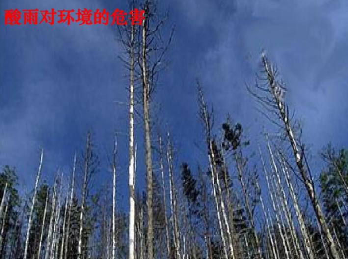 酸雨對環(huán)境的危害 酸雨對環(huán)境的危害